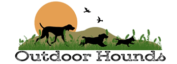 Outdoor Hounds Professional Dog Walking & Pet Services in Brighton & Hove